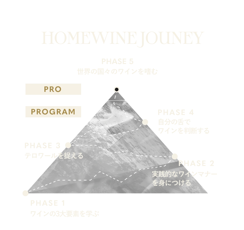 homewine program
